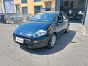 fiat-punto