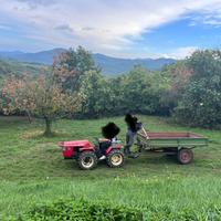 Trattore valpadana 2030rs
