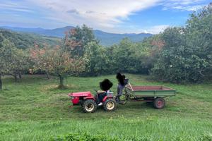 Trattore valpadana 2030rs