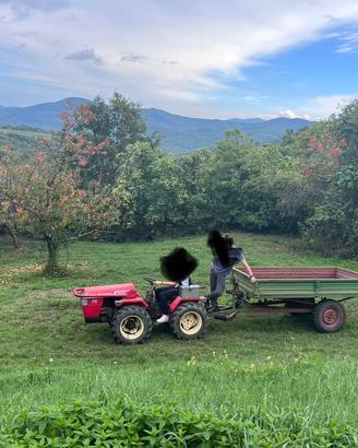 Trattore valpadana 2030rs