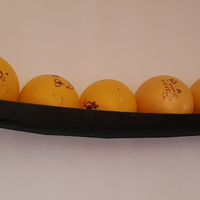 Fitball