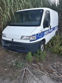 Ricambi Fiat Talento e Ducato