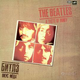 Lotto The Beatles: 2 LP + libro + speciale