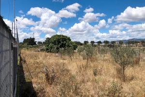 Quartu, Terreno pianeggiante, regolare, recintato