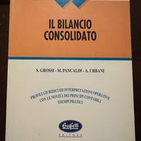 Bilancio consolidato guida pratica aziendale