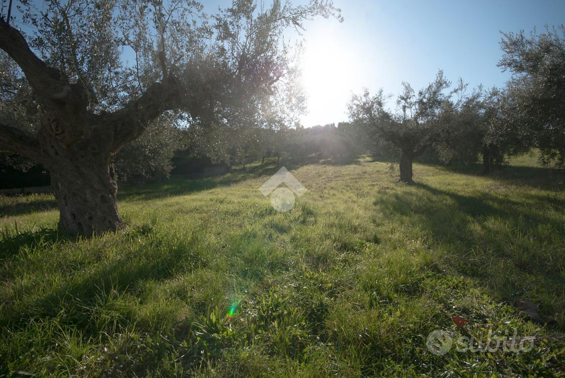TER. RESIDENZIALE A ROSETO DEGLI ABRUZZI - Vista 3