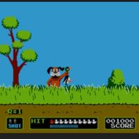 videogioco duck hunt completo 