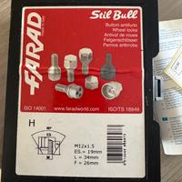 Bulloni antifurto cerchi in lega Ford Kuga