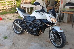 Kawasaki Z 1000 - 2009 ABS