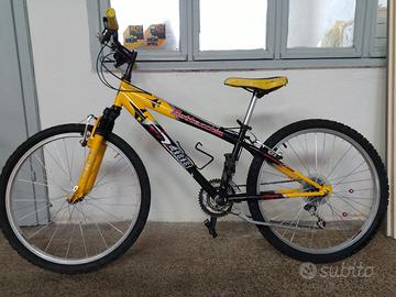 2 bici bottecchia