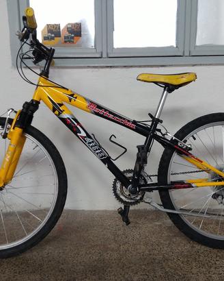 2 bici bottecchia