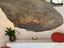 Immagine 10