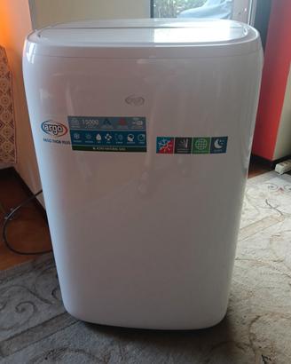 condizionatore portatile 