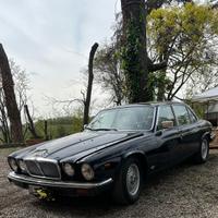 Jaguar xj6/xj12 (1968-86) - 1985