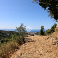 TER. AGRICOLO A LEIVI