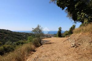 TER. AGRICOLO A LEIVI