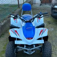 Mini quad Tiger Shark