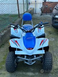 Mini quad Tiger Shark