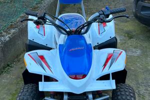 Mini quad Tiger Shark