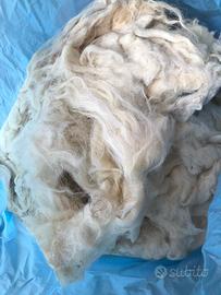 Lana Bianca 100% per cuscini o materassi