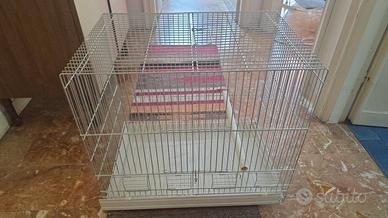 Una gabbia da mettere per gli uccelli! 