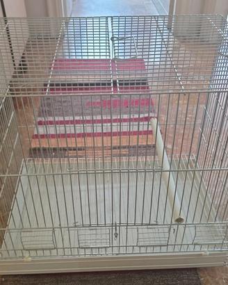 Una gabbia da mettere per gli uccelli! 