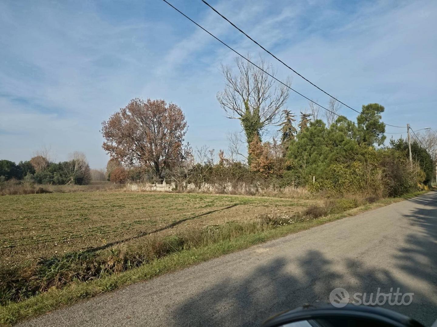 Colonica con mq.26.000 di terreno - Vista 4