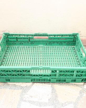 Cassette Frutta e Verdura in plastica impilabili