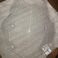 Cupolino Originale Bmw R1250GS