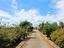 Immagine 26