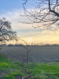 TER. AGRICOLO A SAN DONÀ DI PIAVE