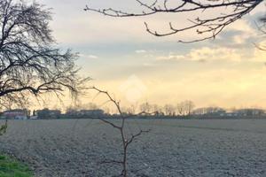 TER. AGRICOLO A SAN DONÀ DI PIAVE
