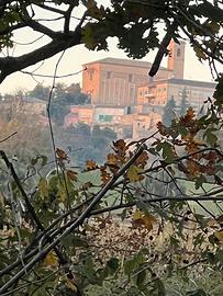 Terreno agricolo seminativo Montegiorgio