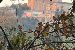 Terreno agricolo seminativo Montegiorgio