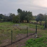 Terreno agricolo recintato
