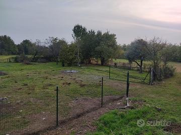 Terreno agricolo recintato