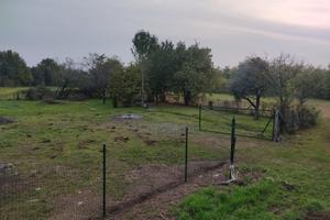 Terreno agricolo recintato