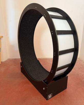 Ruota per gatti