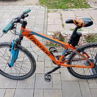 MTB 24