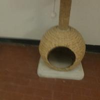 cuccia tira graffi 