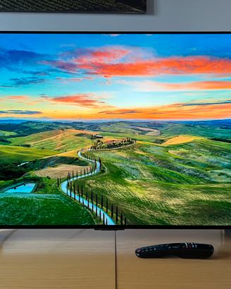 TV LG OLED C4 42 pollici