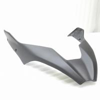 BECCO ANTERIORE CARBONIO DUCATI MULTISTRADA V4 RAL