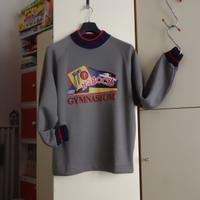 Felpa uomo con stampa, collo maglia, "Gymnasium" S