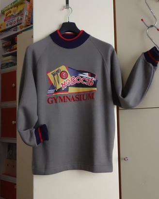 Felpa uomo con stampa, collo maglia, "Gymnasium" S