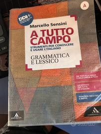 A Tutto Campo isbn 9788824778480 grammatica e less