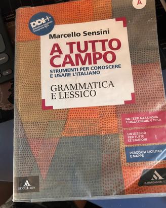 A Tutto Campo isbn 9788824778480 grammatica e less
