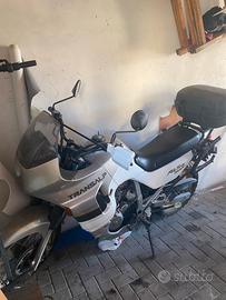 Honda Transalp 600