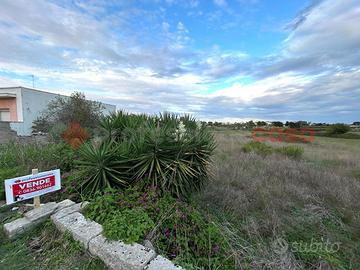 Terreno Residenziale Specchia [Pogg205VRG]