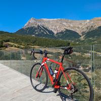 Bici da corsa Wilier Triestina