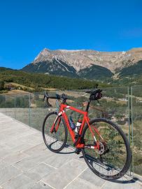 Bici da corsa Wilier Triestina